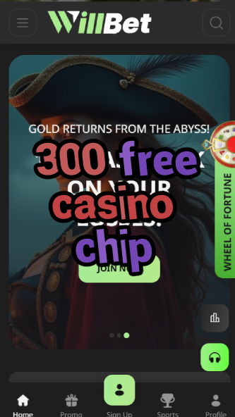 300 free casino chip-asdasdzhjkds.com